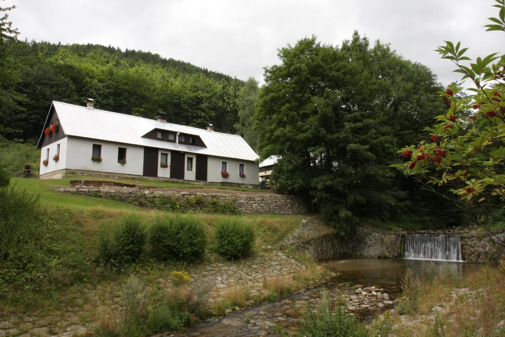 Guest House U Lakomce Desná Extérieur photo