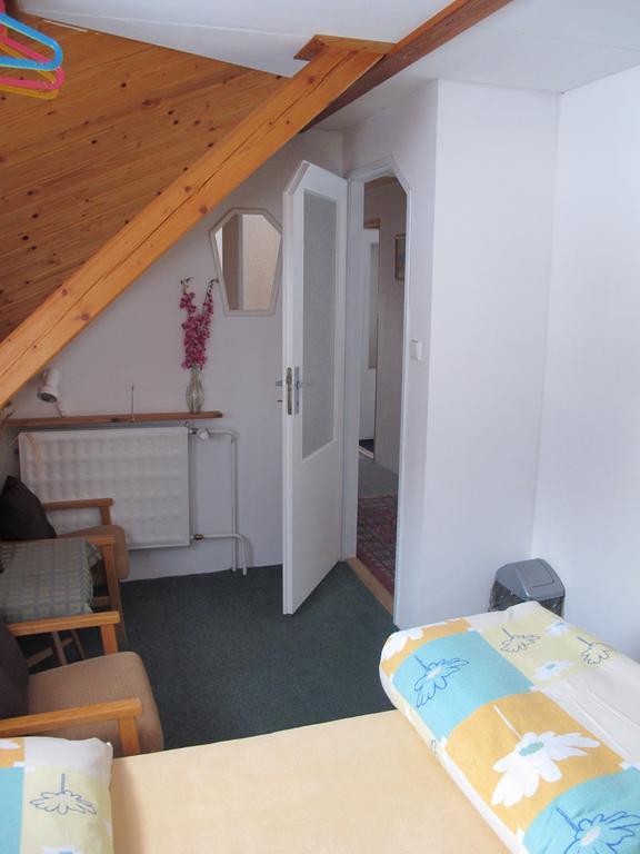 Guest House U Lakomce Desná Extérieur photo